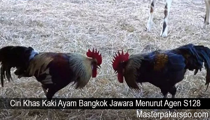 Ciri Khas Kaki Ayam Bangkok Jawara Menurut Agen S128