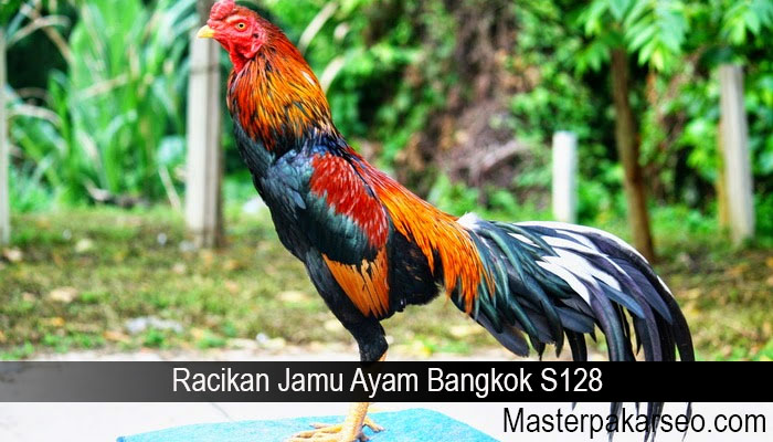 Racikan Jamu Ayam Bangkok S128